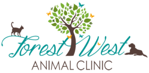 ForestWestClinic 1 300x148