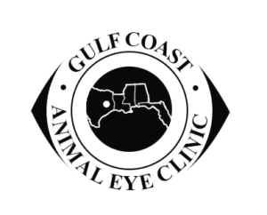 GulfCoastAnimalEyeClinic 300x242